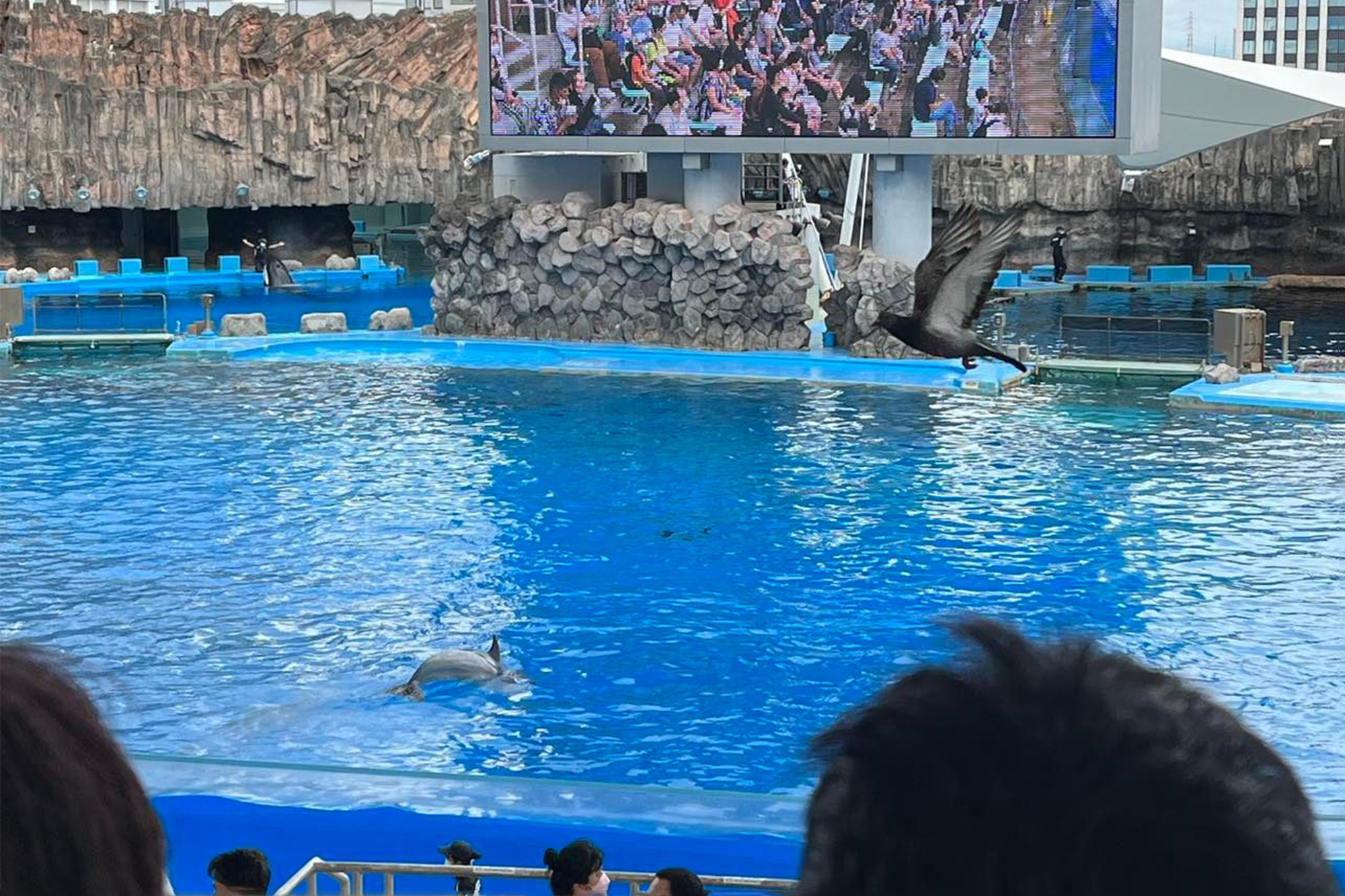 名古屋港水族館